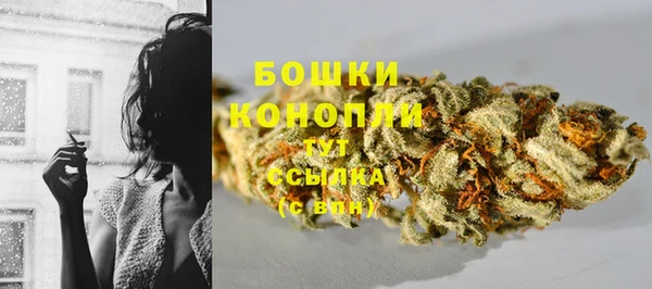 spice Володарск