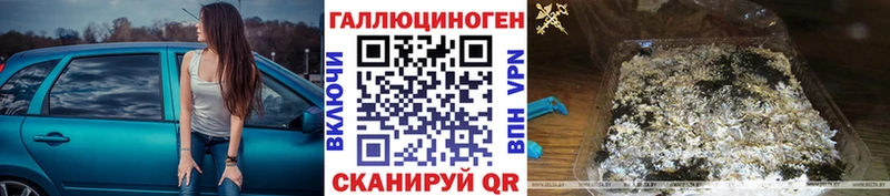 где купить   Камызяк  OMG зеркало  Галлюциногенные грибы Psilocybe 